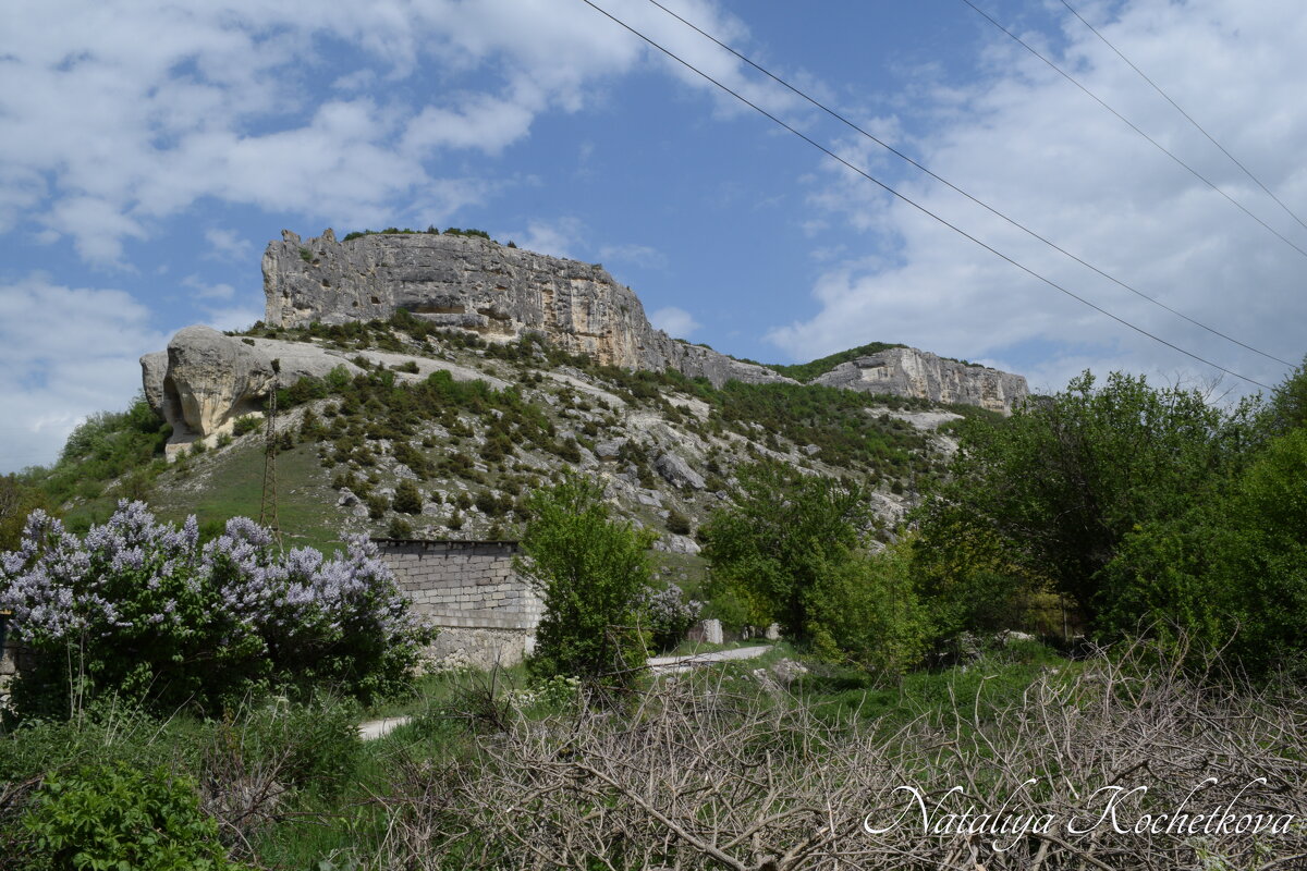 Природа Крыма - Amazing Cosmea Природа Крыма - Amazing Cosmea