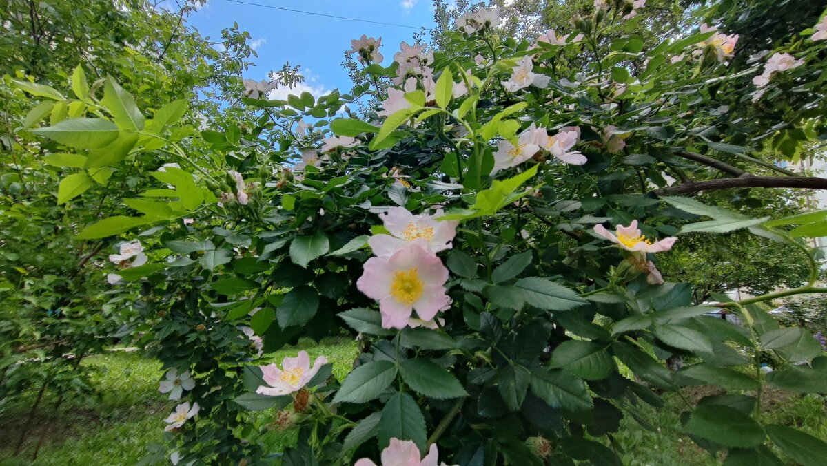 ,,, - Сергей Тимоновский