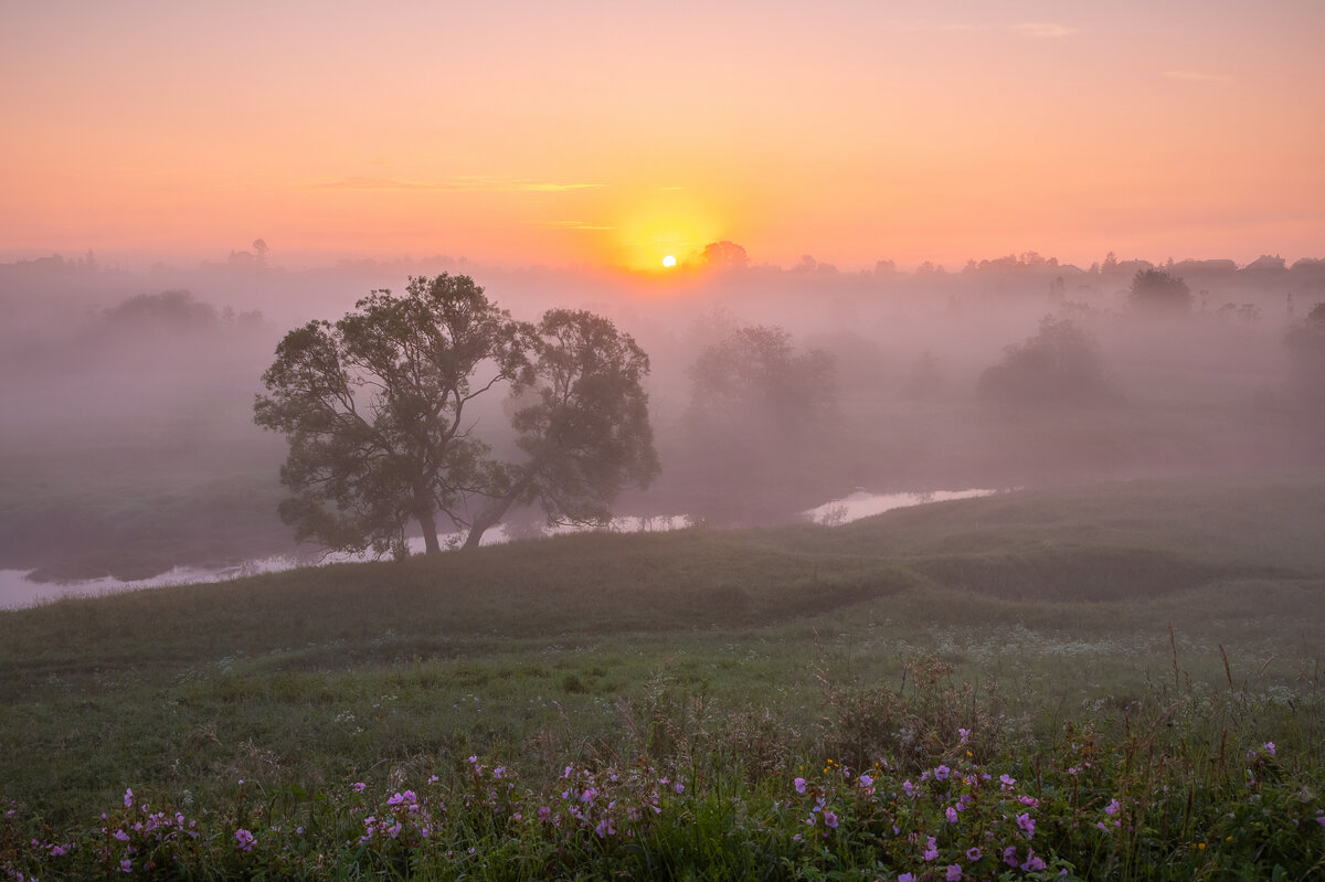 **** - Елизавета .