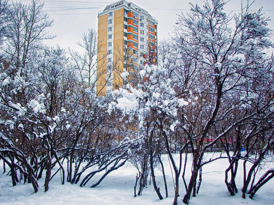 Зима у окон - Джованни Луче
