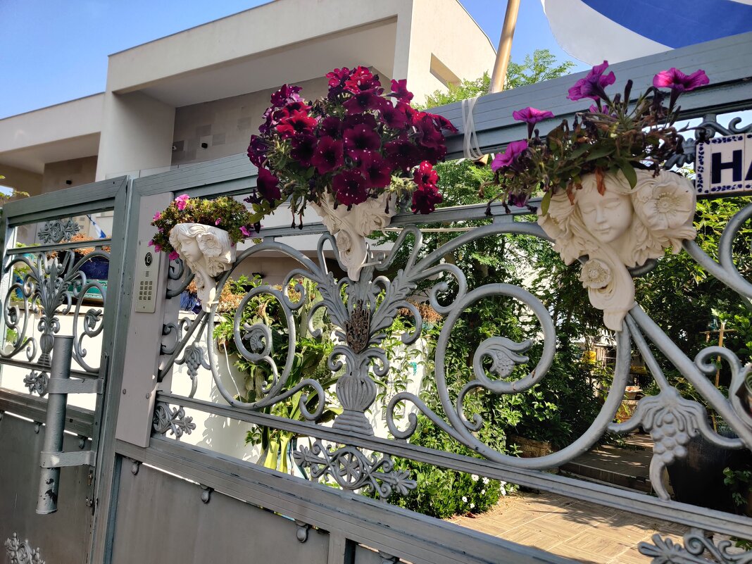 Гуляя по улицам! - Светлана Хращевская