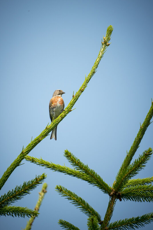 . - Сергей Ястребов (s.hawk)