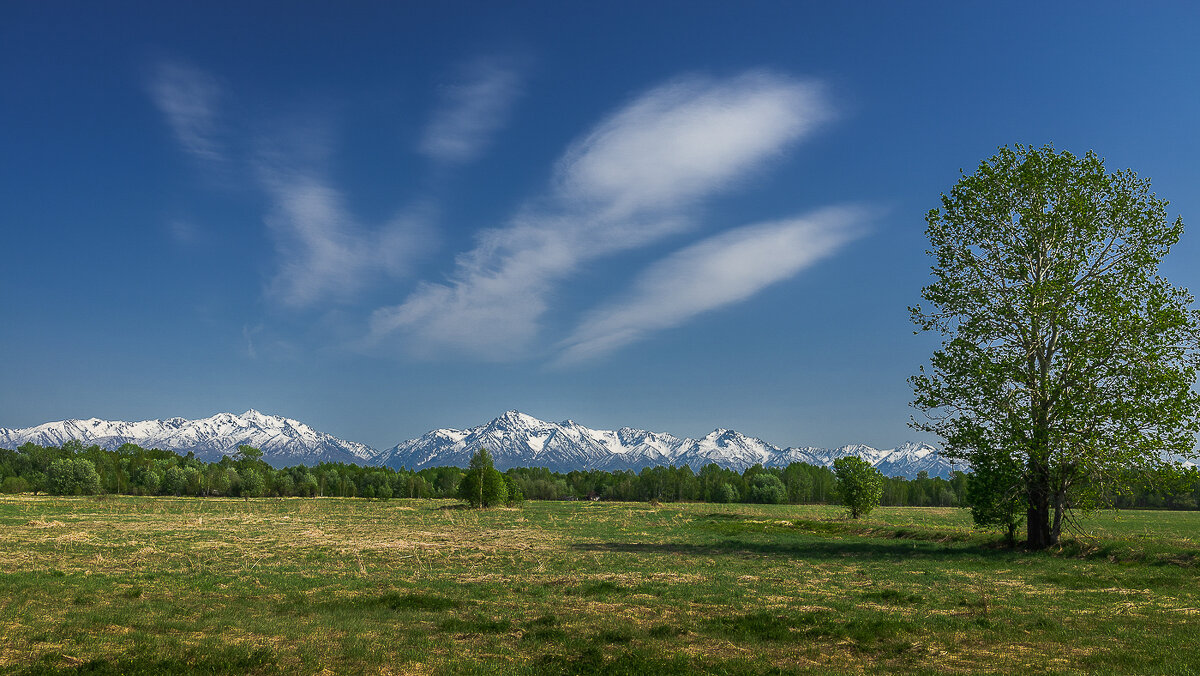 ... - Жора Житников ... - Жора Житников