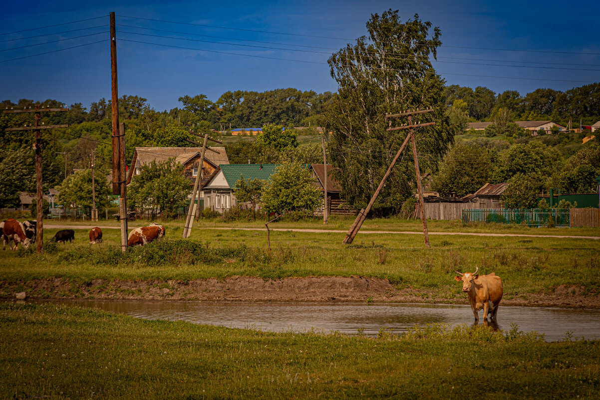 Окрестности - Юра Викулин Окрестности - Юра Викулин