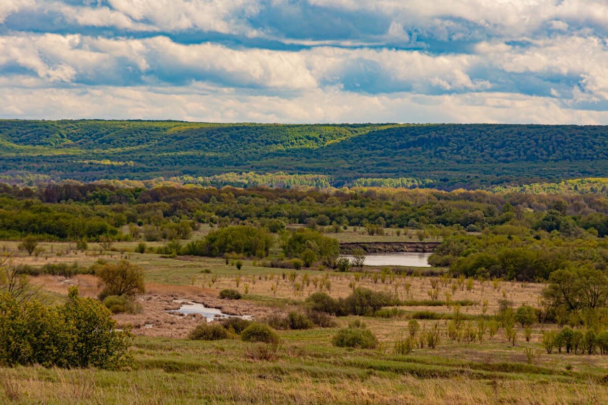 ПРогулка по окрестностям - Юра Викулин