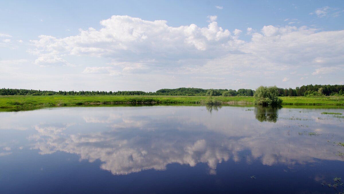 Отражение - Сергей Швечков Отражение - Сергей Швечков