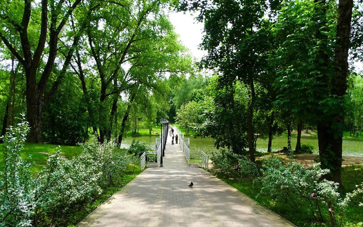 Летний парк. - Милешкин Владимир Алексеевич 