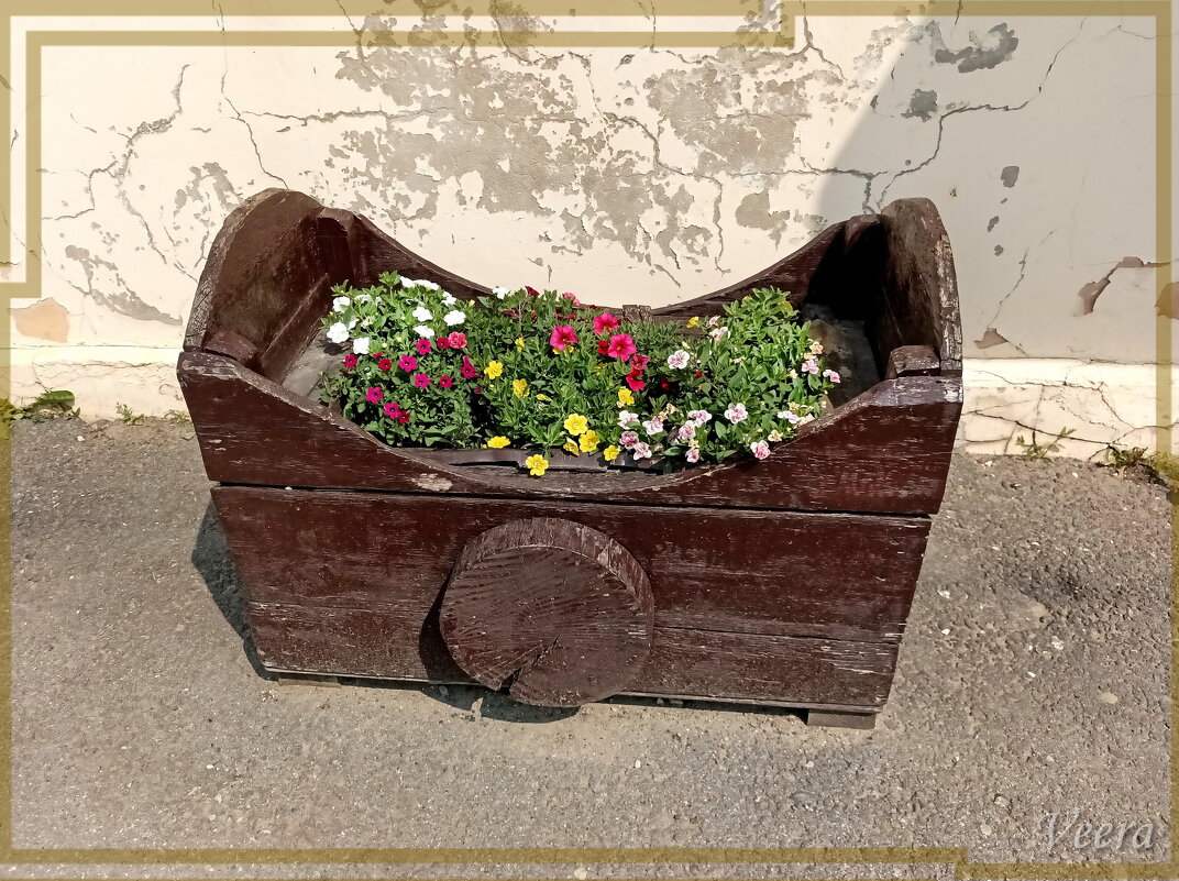 Ретро-тележка петуний - Veera V Ретро-тележка петуний - Veera V