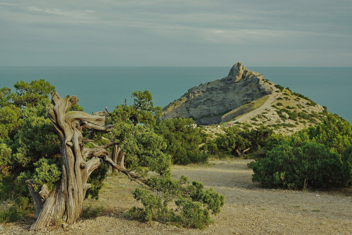 Мыс Капчик - Василий Богданов Мыс Капчик - Василий Богданов