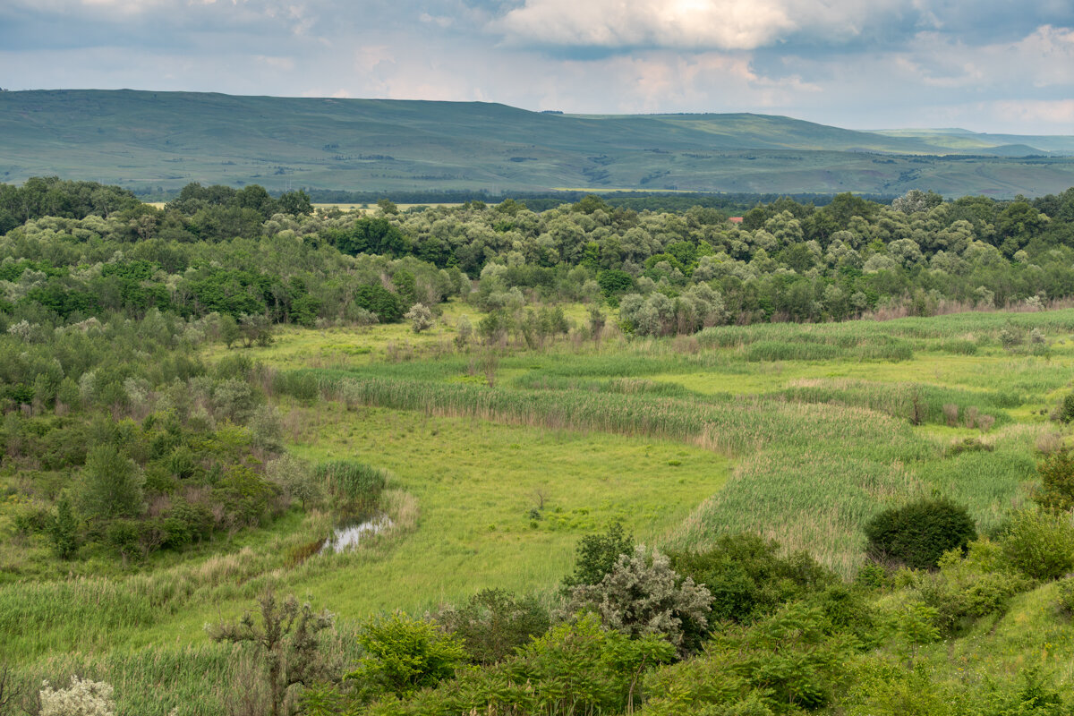 Краснодарский край, Успенский район - Игорь Сикорский Краснодарский край, Успенский район - Игорь Сикорский