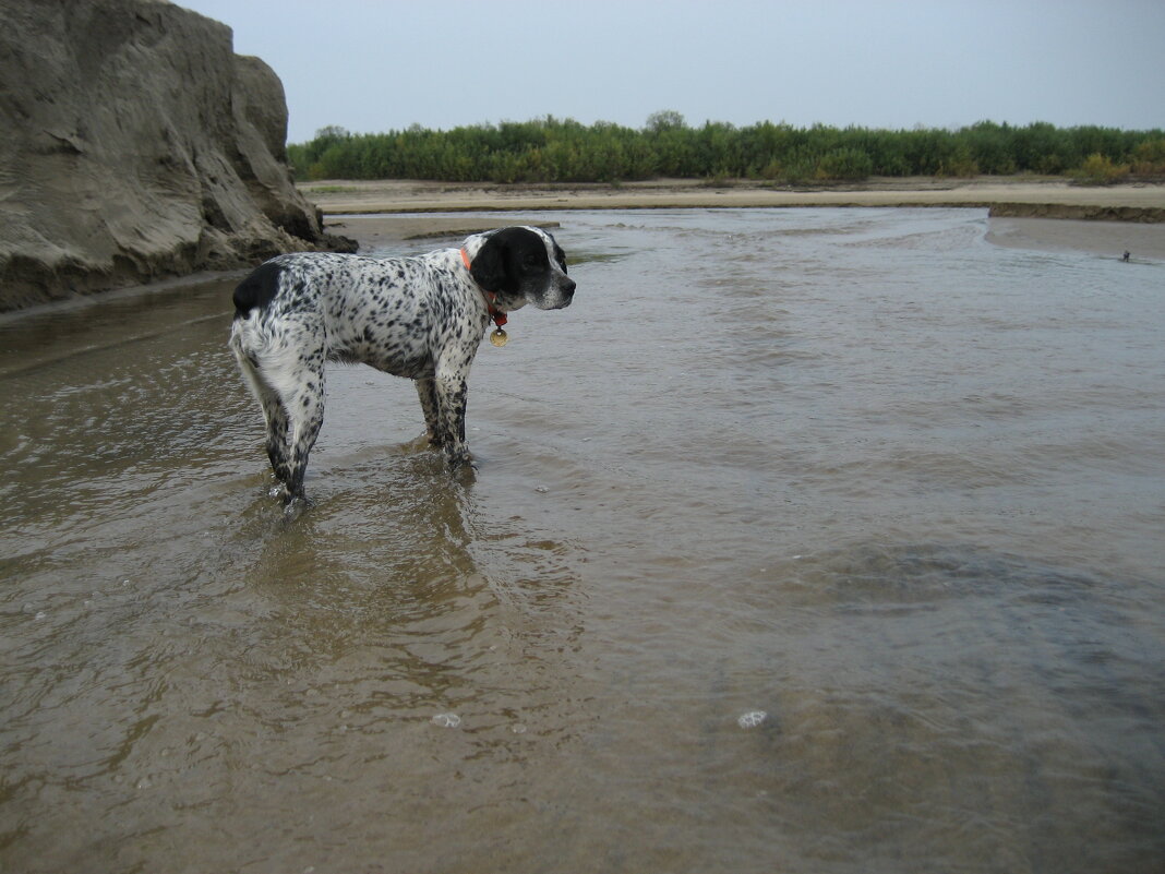 Лето - Anna Ivanova