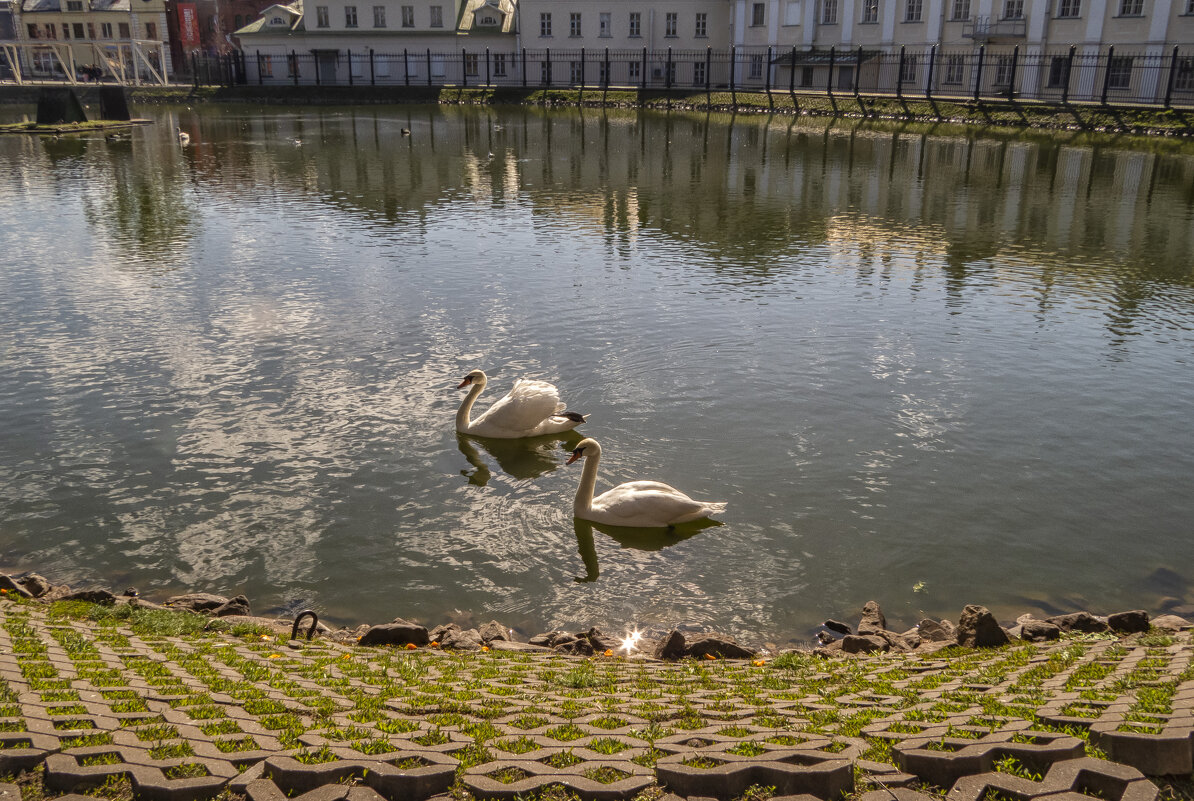 Сергиев-Посад. На пруду - Сергей Цветков Сергиев-Посад. На пруду - Сергей Цветков