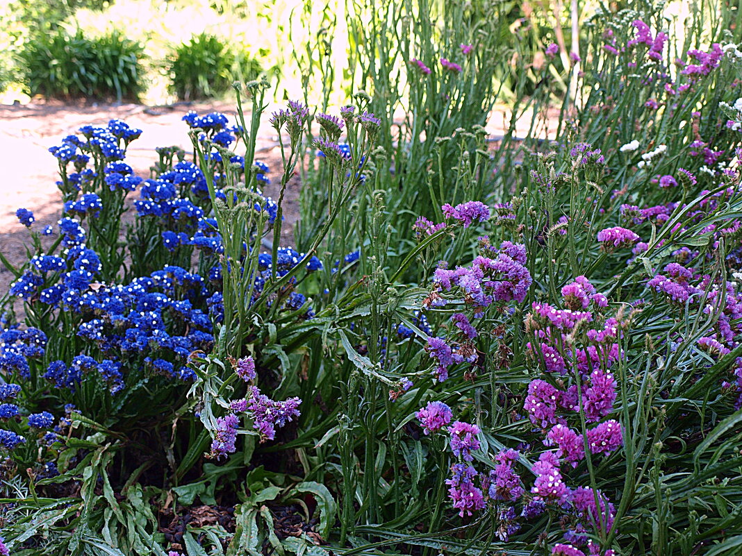 Барселона. - Владимир Драгунский Барселона. - Владимир Драгунский