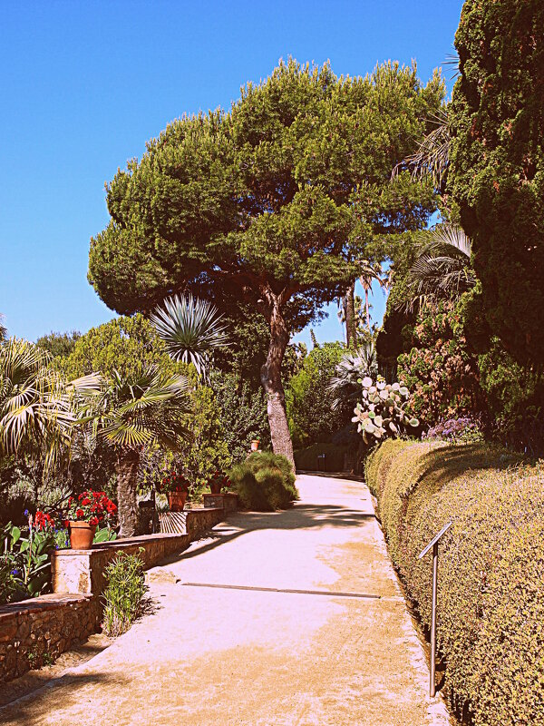 Барселона. - Владимир Драгунский Барселона. - Владимир Драгунский