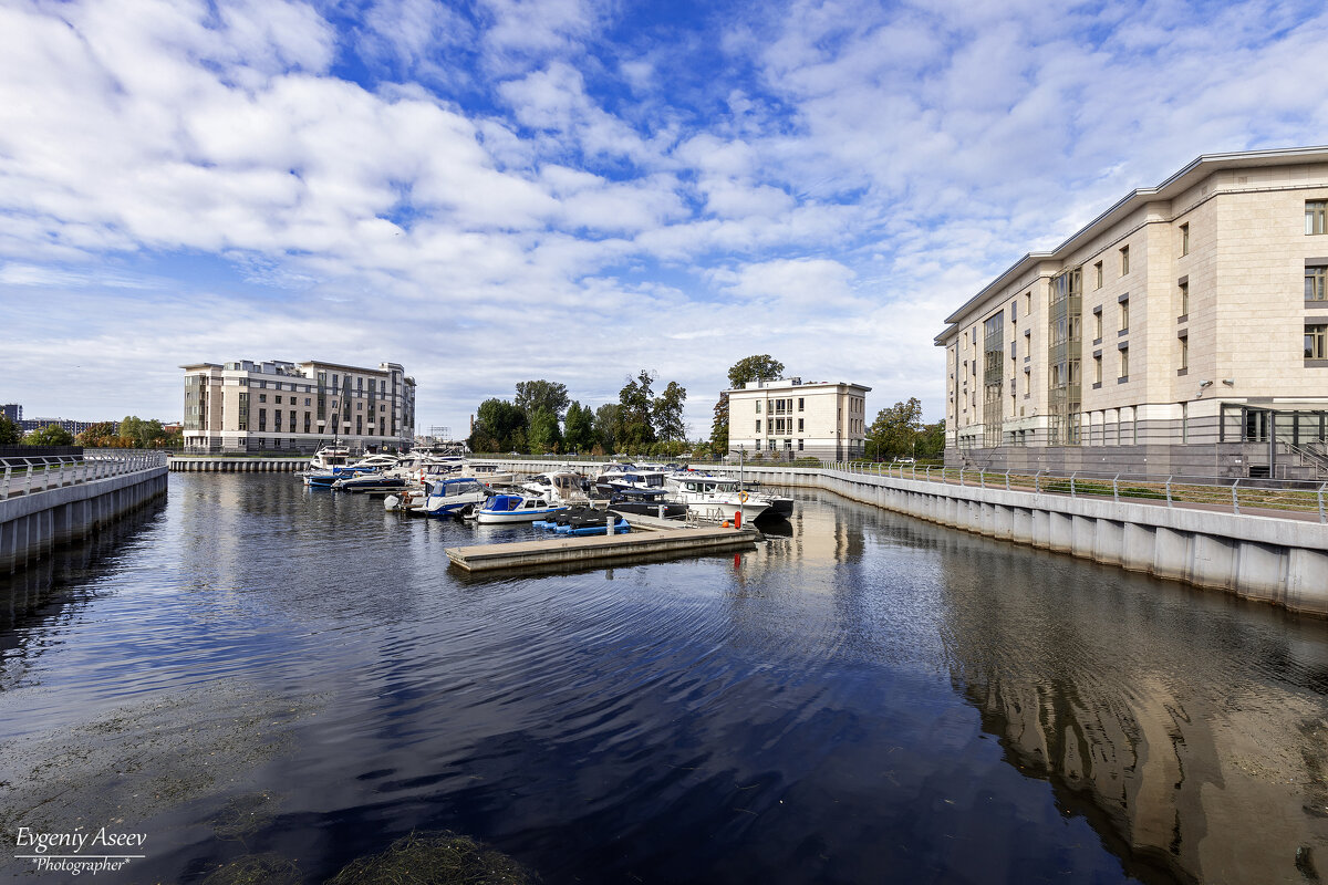 Тихая заводь - Евгений 