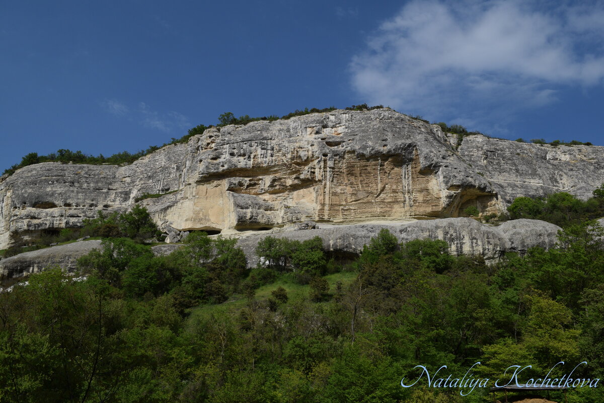 Природа Крыма - Amazing Cosmea
