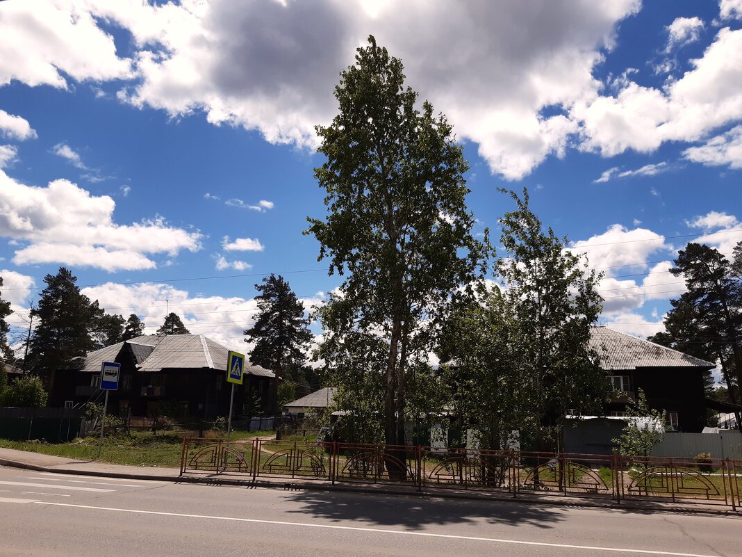 Вот и лето пришло - Галина Минчук Вот и лето пришло - Галина Минчук