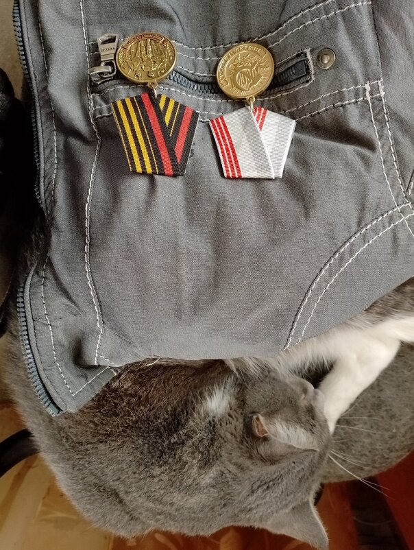 Про кота - Cергей Кочнев