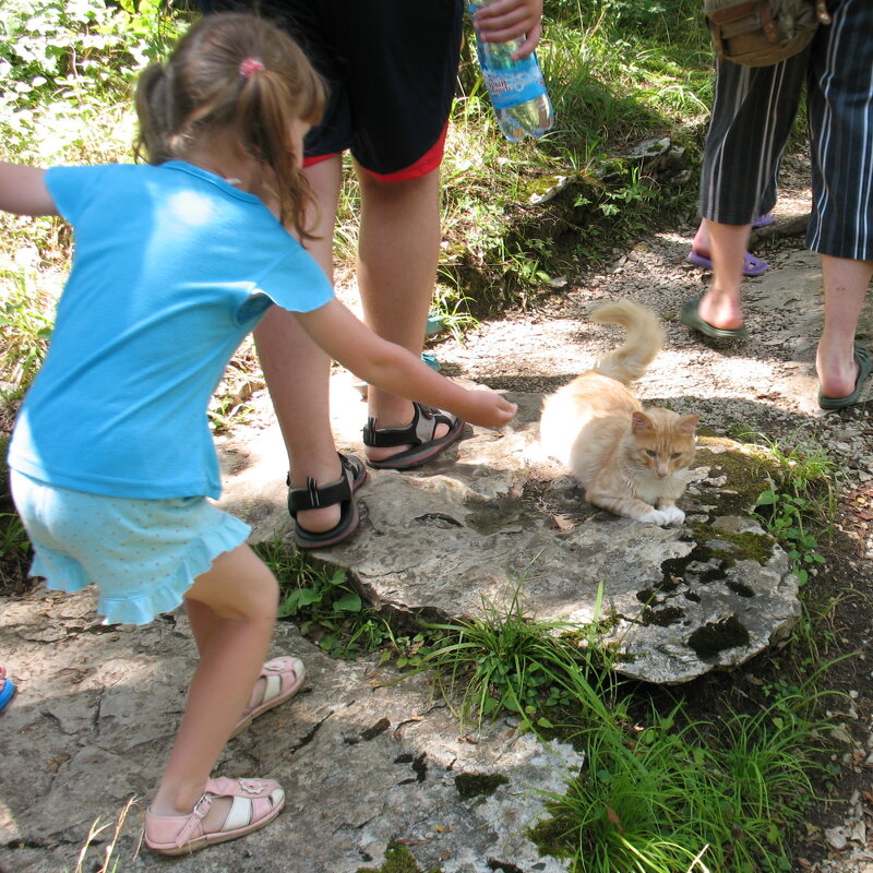 Житель рощи - Роман Шаров