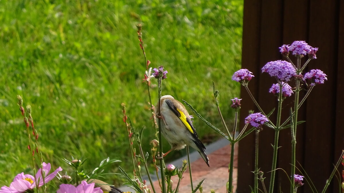 Передышка  - rimgis 
