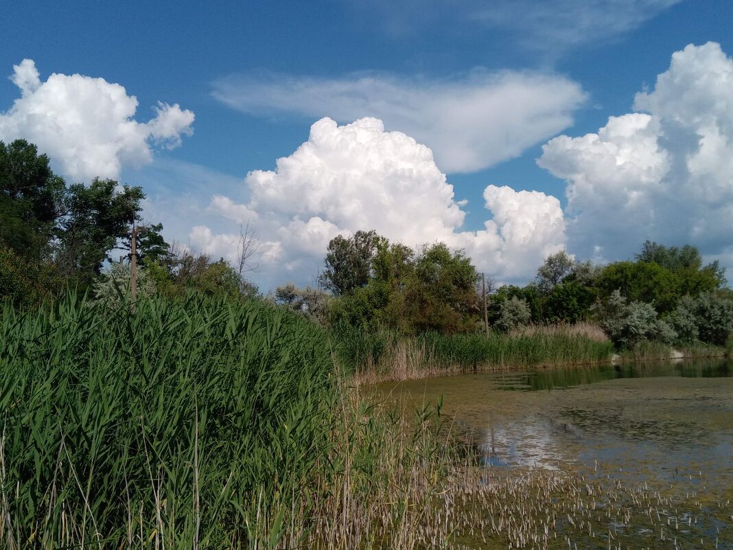 Отдых в Славянке, 2021 год - Татьяна Пальчикова Отдых в Славянке, 2021 год - Татьяна Пальчикова