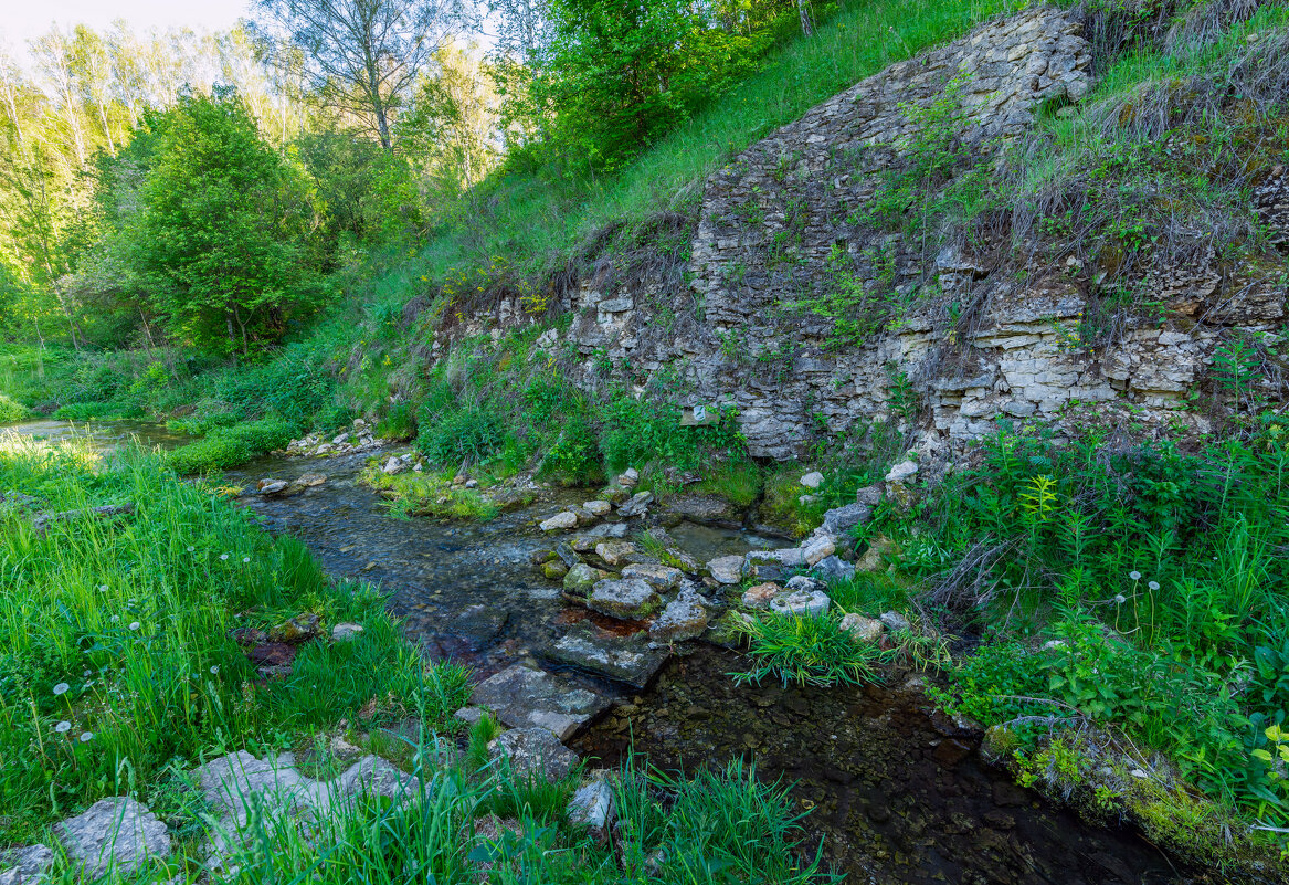 на святом источнике - Виталий Емельянов на святом источнике - Виталий Емельянов