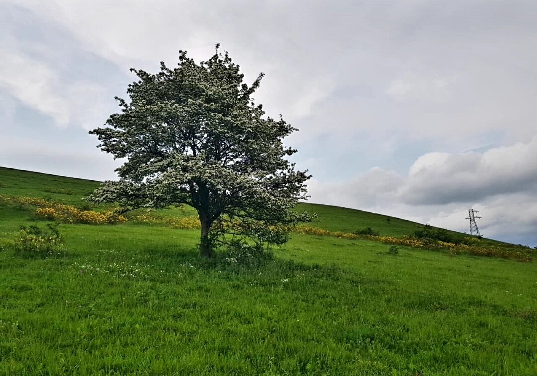 Путешествие по северному Кавказу - Tata Wolf Путешествие по северному Кавказу - Tata Wolf