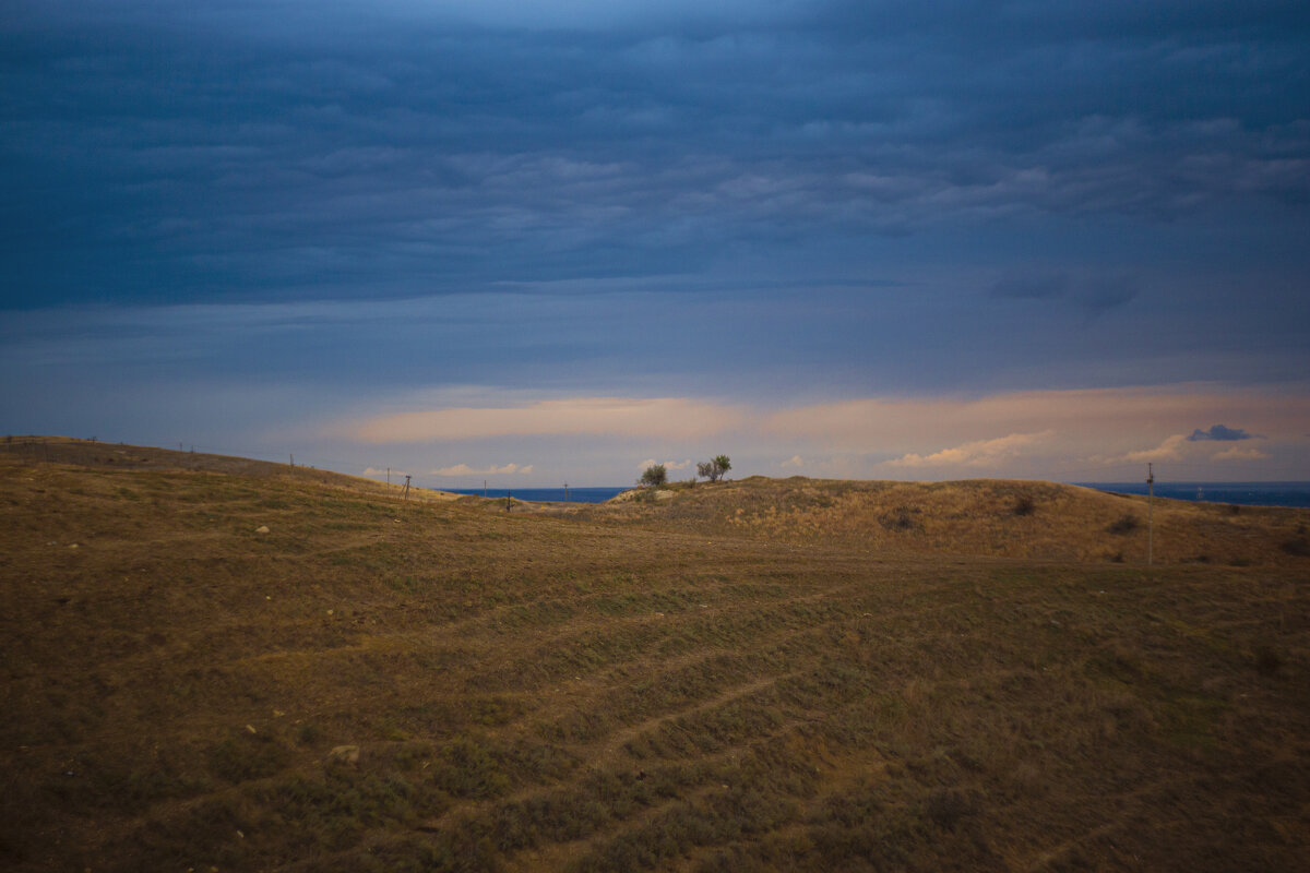 *** - Яна Горбунова