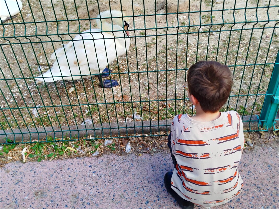 Трогательно! - Надежда 