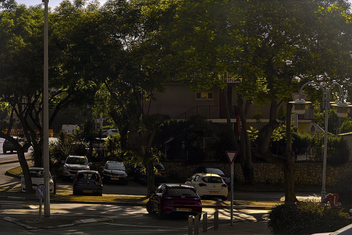 Стоянка машин в тени - ujgcvbif 