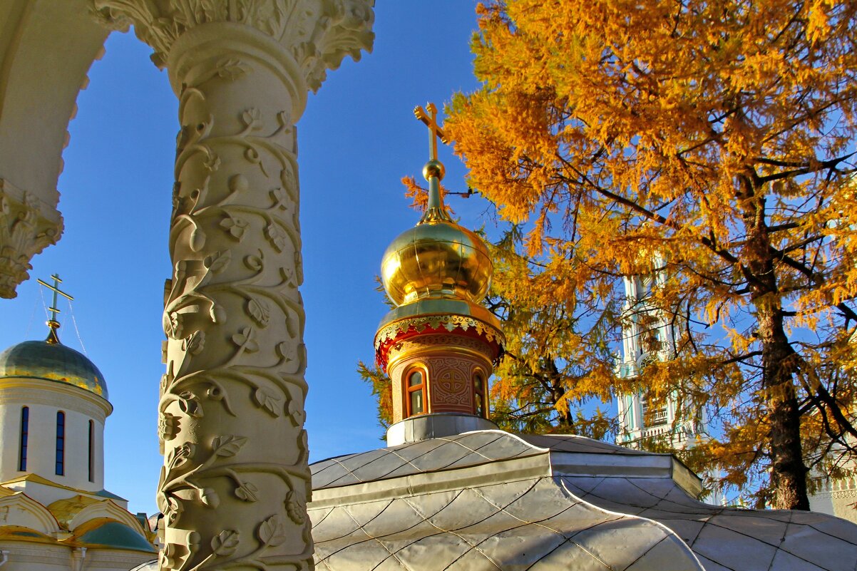 Золото осени. - Михаил Свиденцов