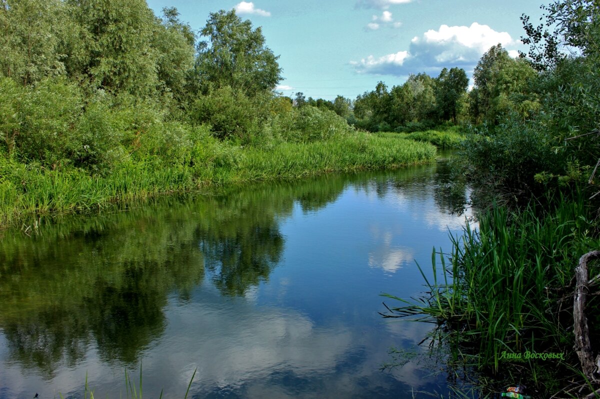 Родниковая речка Свинцовка, питающая Хопёр. Воронежская область. - Восковых Анна Васильевна Родниковая речка Свинцовка, питающая Хопёр. Воронежская область. - Восковых Анна Васильевна