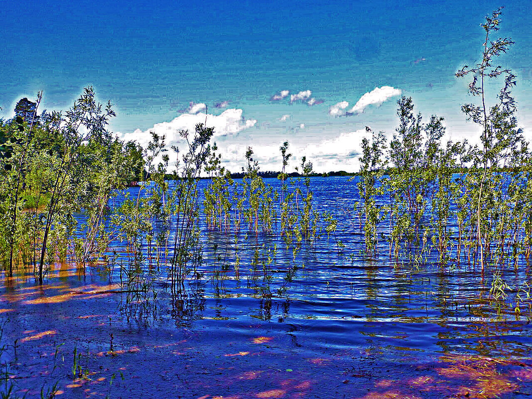 Июнь...Половодье на протоке Сырой Аган! - Владимир 