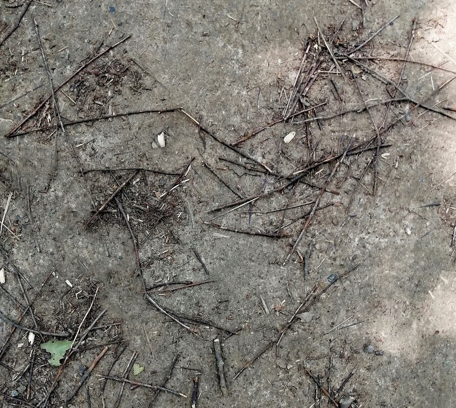 ШАРЖ - Юрий Вовк