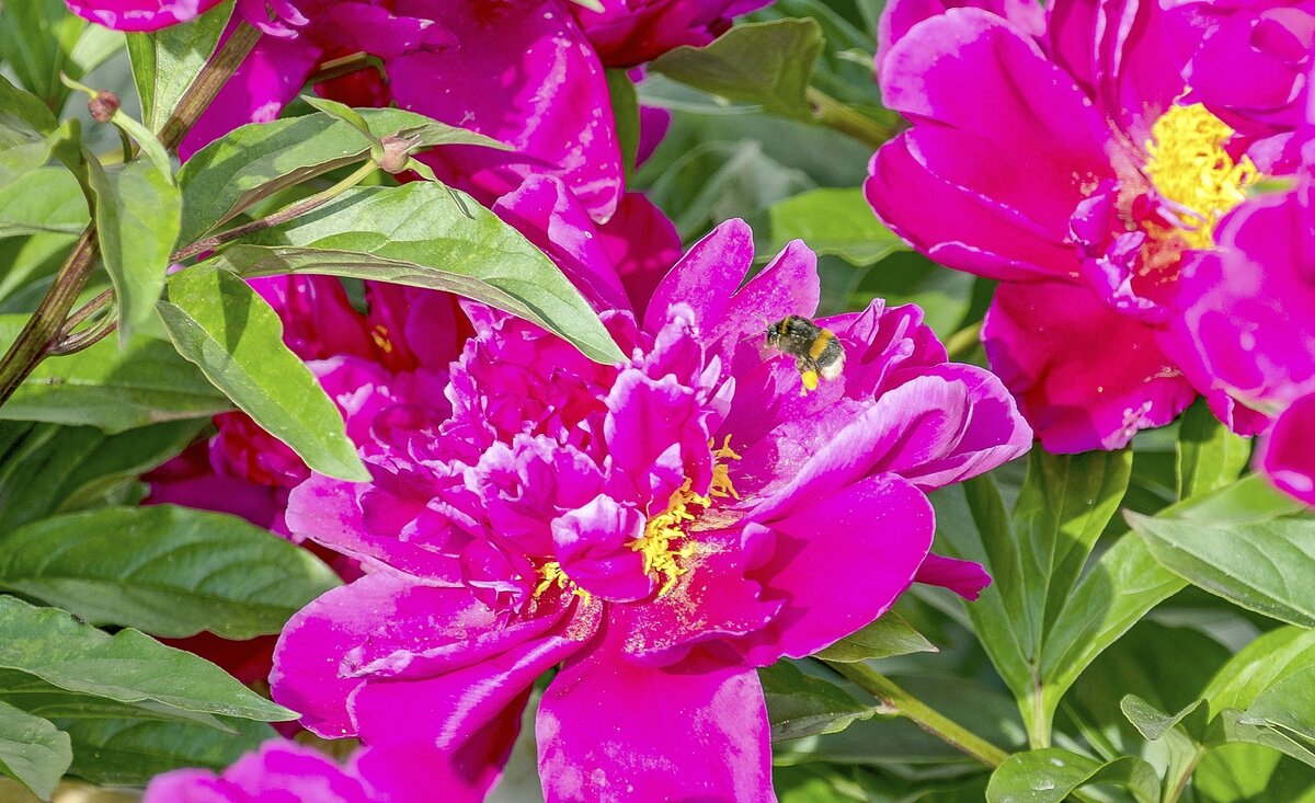 На посадку - Валерий Иванович