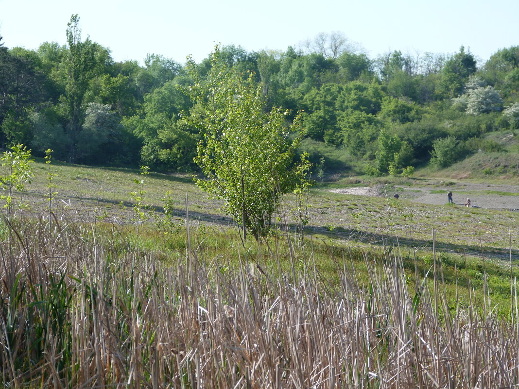 Природа  Крыма - Валентин Семчишин