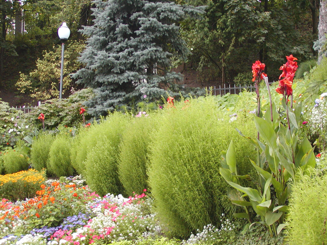 Патриаршие сады. - Николай ntv