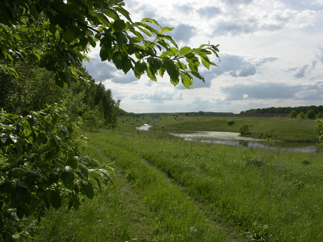 Малая река - Игорь Шевердин