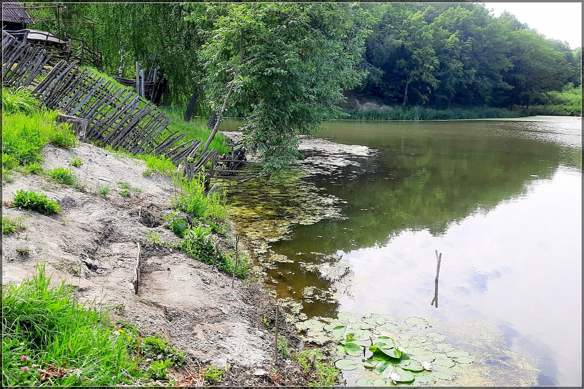 Уголок рыбака - Сеня Белгородский Уголок рыбака - Сеня Белгородский