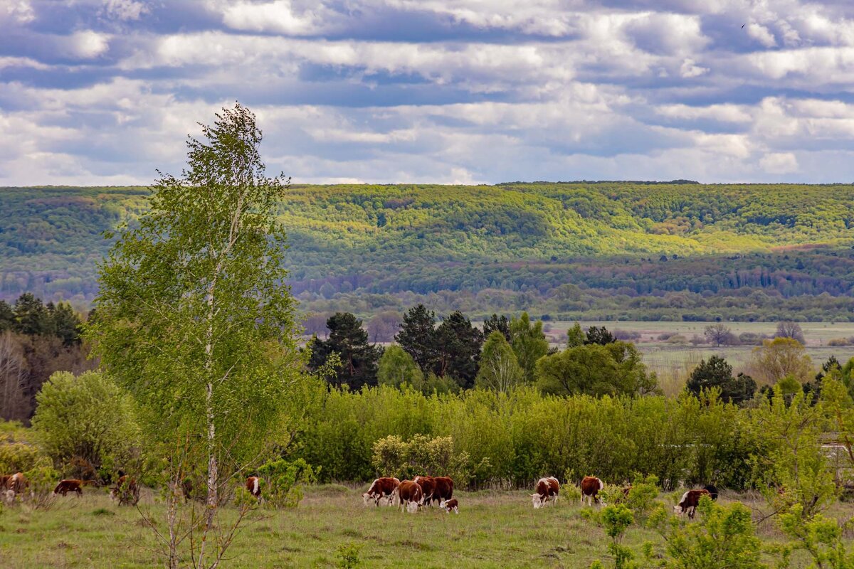 Окрестности - Юра Викулин
