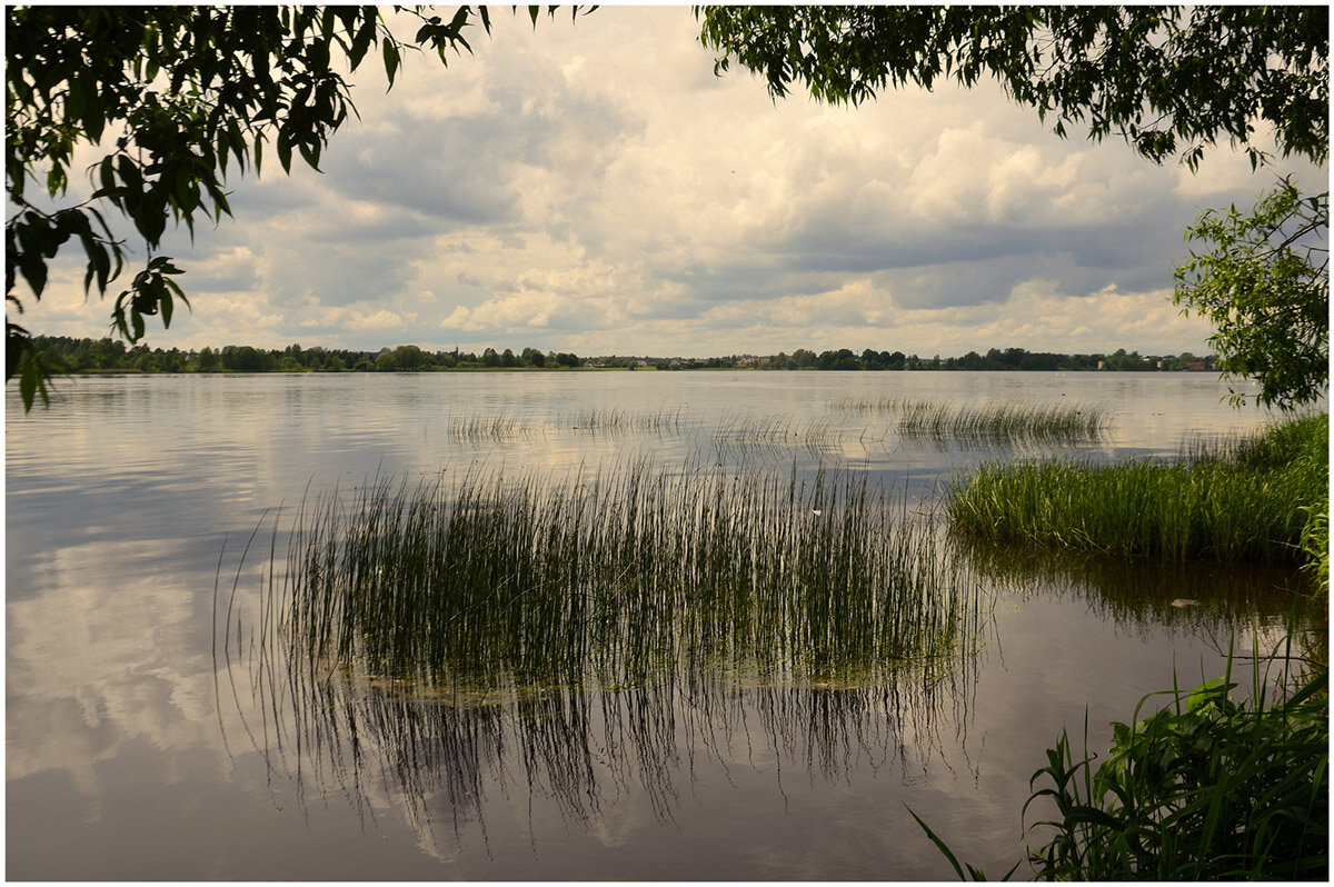 Лето долгожданное... - Aleksandr Gal Лето долгожданное... - Aleksandr Gal