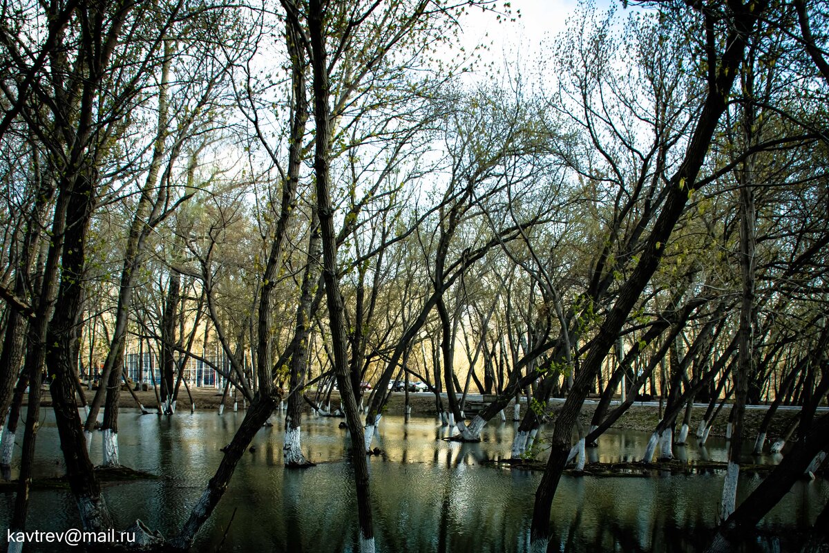 ПОЛОВОДЬЕ - HART BAD