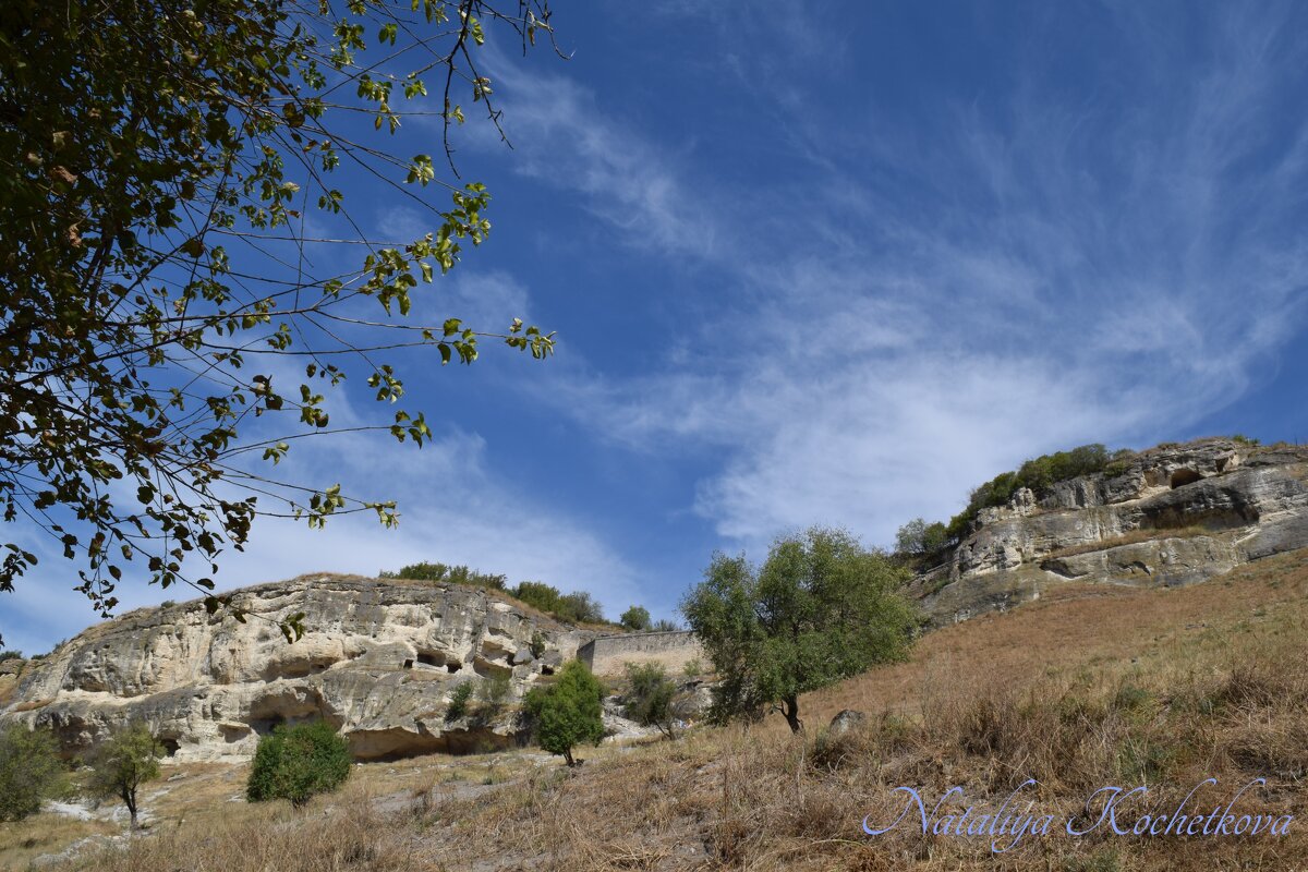 Природа Крыма - Amazing Cosmea Природа Крыма - Amazing Cosmea