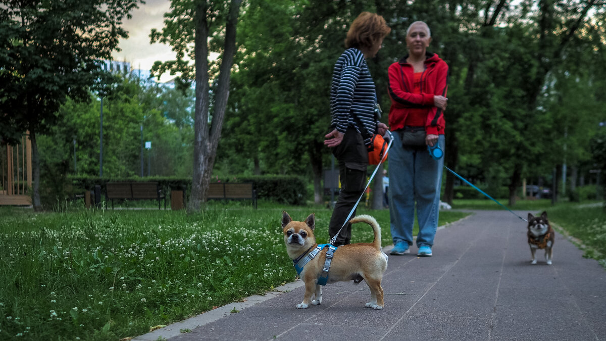 ***** - юрий поляков