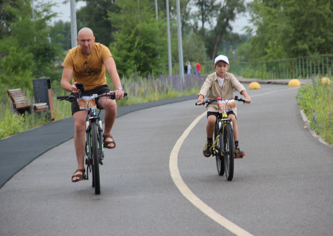 Июнь. - Венера Чуйкова