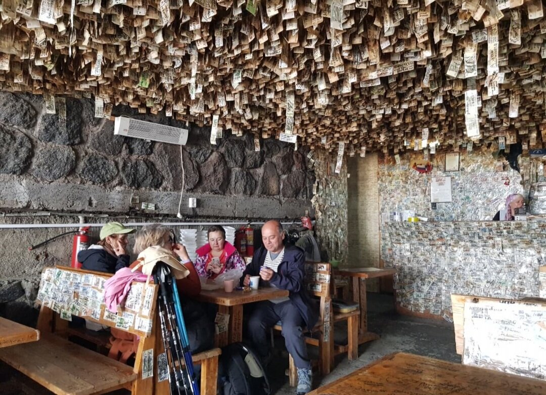 Необычное кафе, где всё в деньгах - Tata Wolf Необычное кафе, где всё в деньгах - Tata Wolf