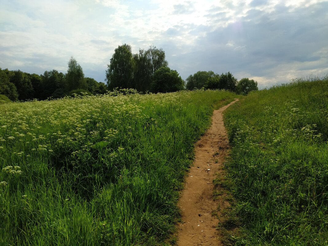 С Днем России! - Моя Россия. - Андрей Лукьянов С Днем России! - Моя Россия. - Андрей Лукьянов