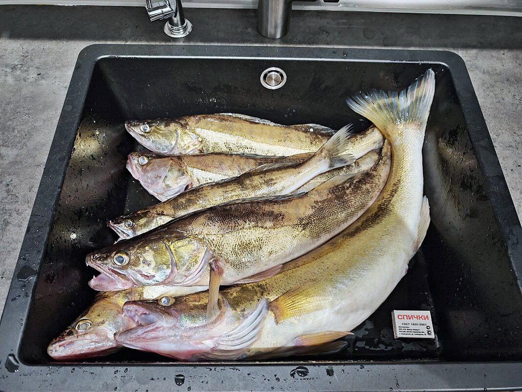 Хороший улов на день России - Валерий Иванович Хороший улов на день России - Валерий Иванович