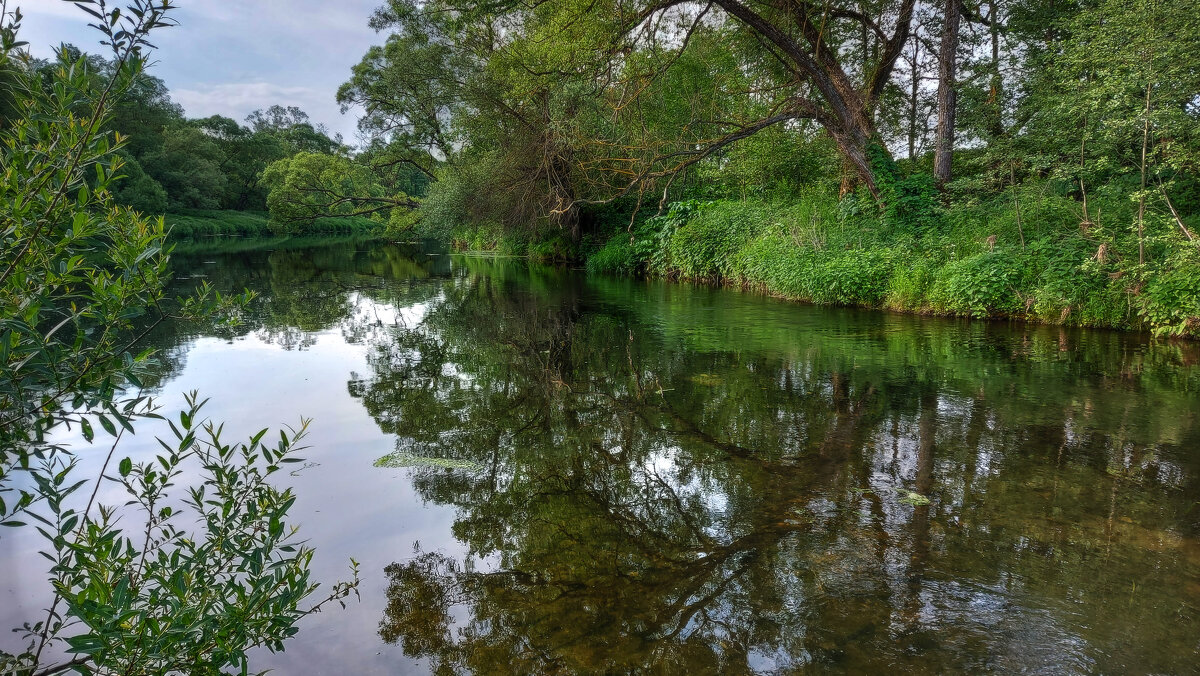 *** - Владимир Безбородов