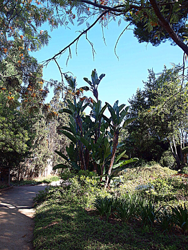 Барселона. - Владимир Драгунский